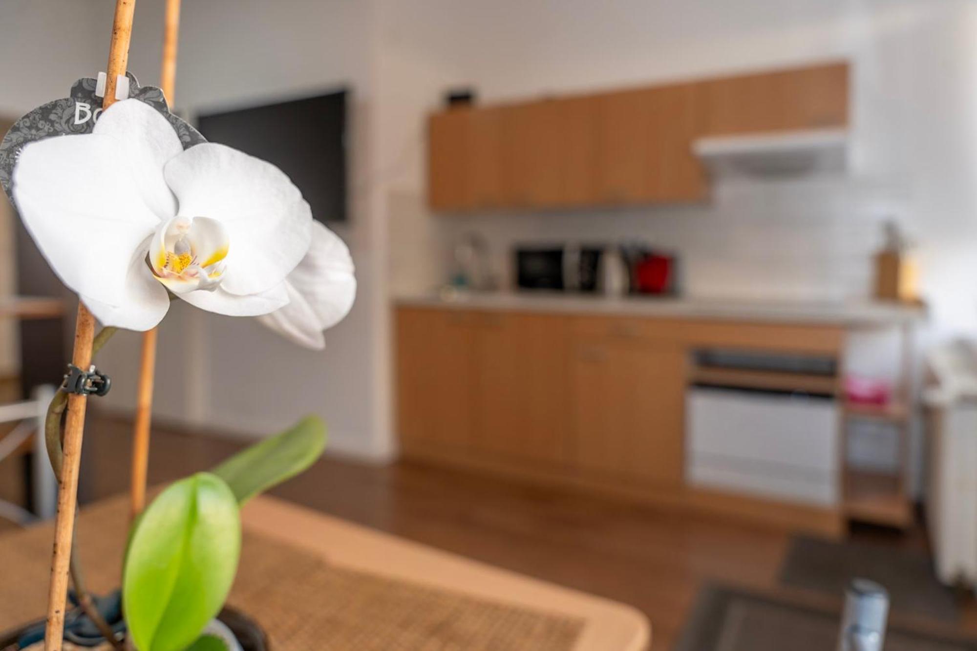 Cosy Nest - Apartment By Comfort Housing Falkensee Ngoại thất bức ảnh